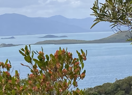 Faux départ pour les îles Loyautés… puis départ !